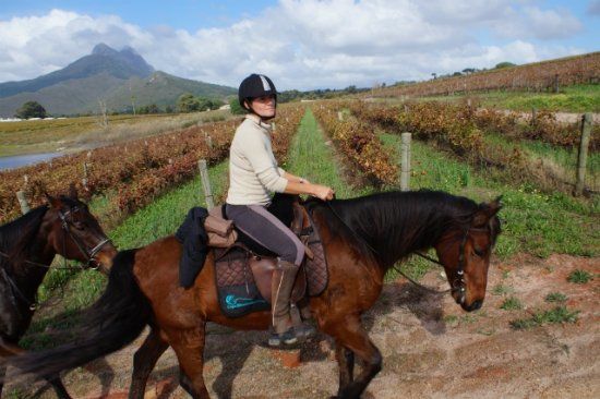 Horse Riding Cape Town